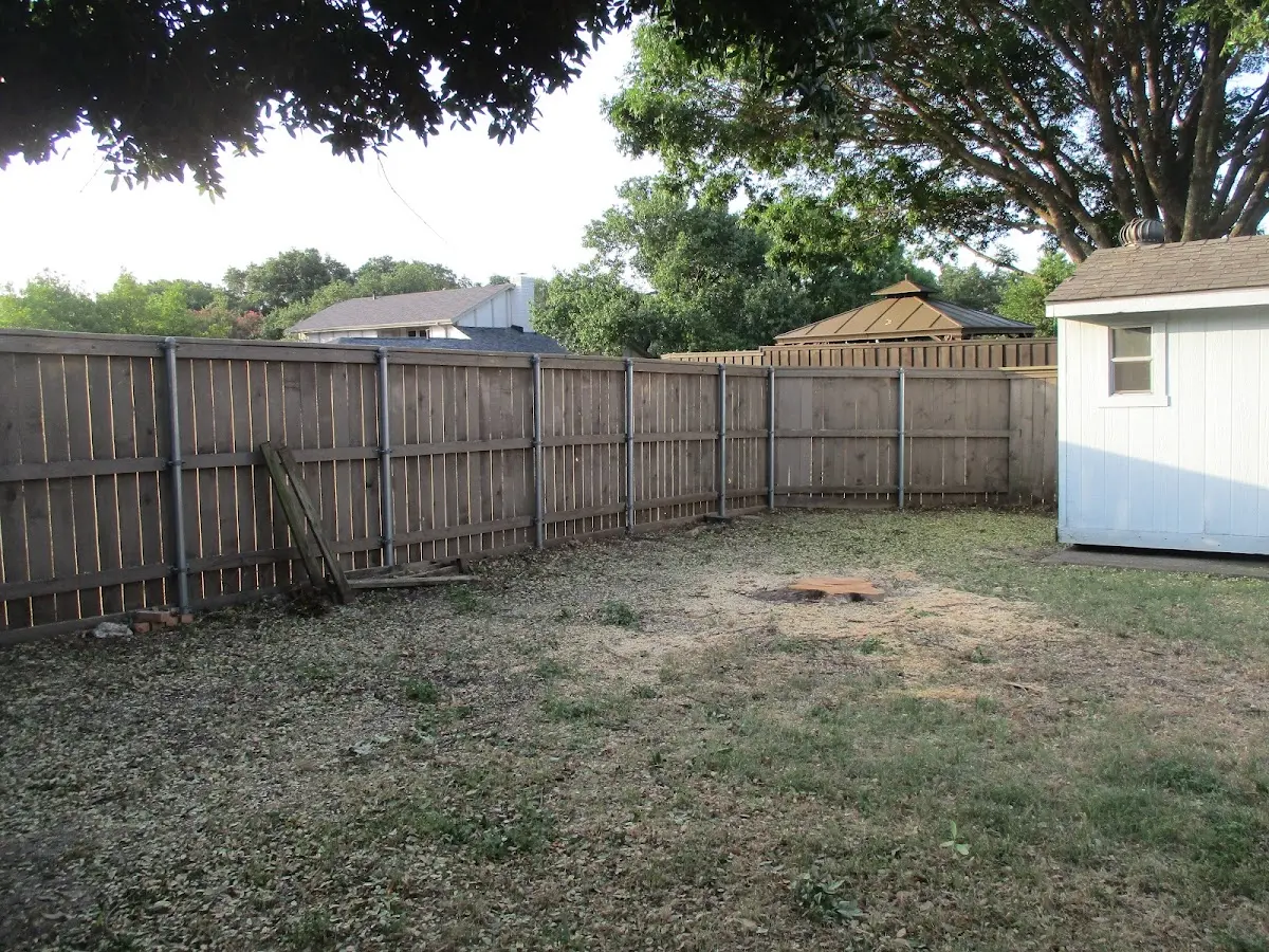 Cleared yard after professional tree removal in Weston